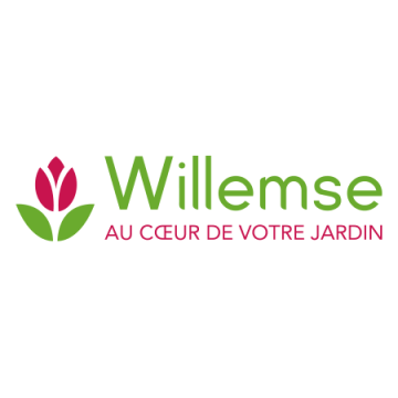 Logo Wilemse France